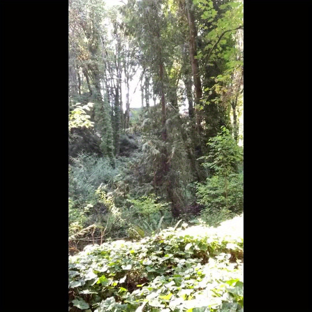 EZshoot 15.85gal Large Outdoor Backpack - High Quality & Scratch-Resistant 900D Oxford, Detachable Hydration Pouch & Crossbody Bag, MOLLE Webbing System with 8 Carabiners & 4 D-Rings, Adjustable Padded Straps for Hunting, Cam