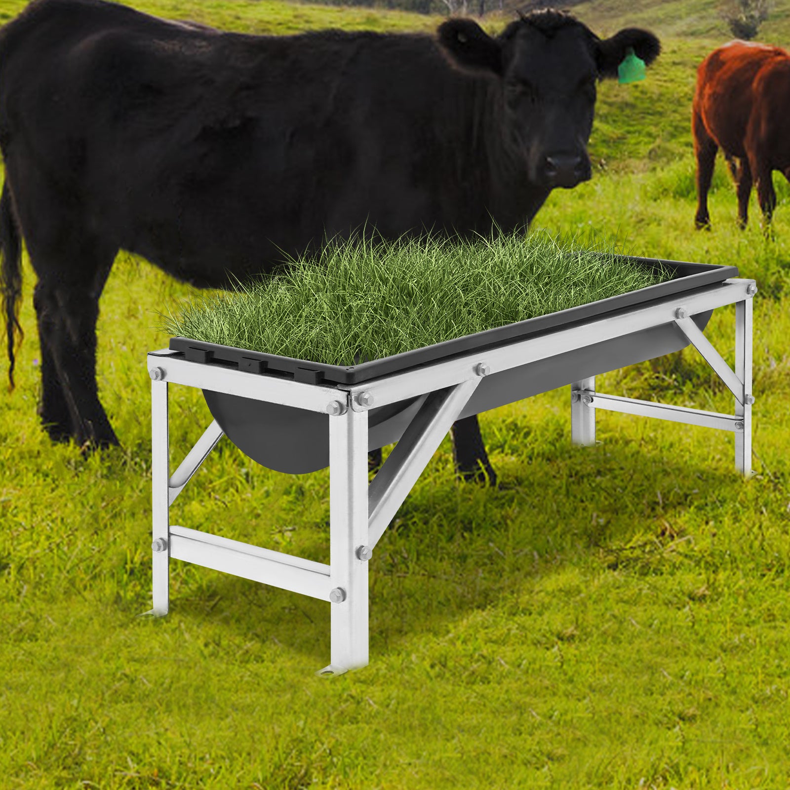 OUKANING 35L/9.25Gal Large Capacity Horse Feeder Water Trough with Stand - Durable Metal Frame, Easy-Clean Design for Calfes, Sheep, Horses, Alpacas & Goats - Farm Livestock Feeding & Hydration, Horse Feeder, Sturdy Construct