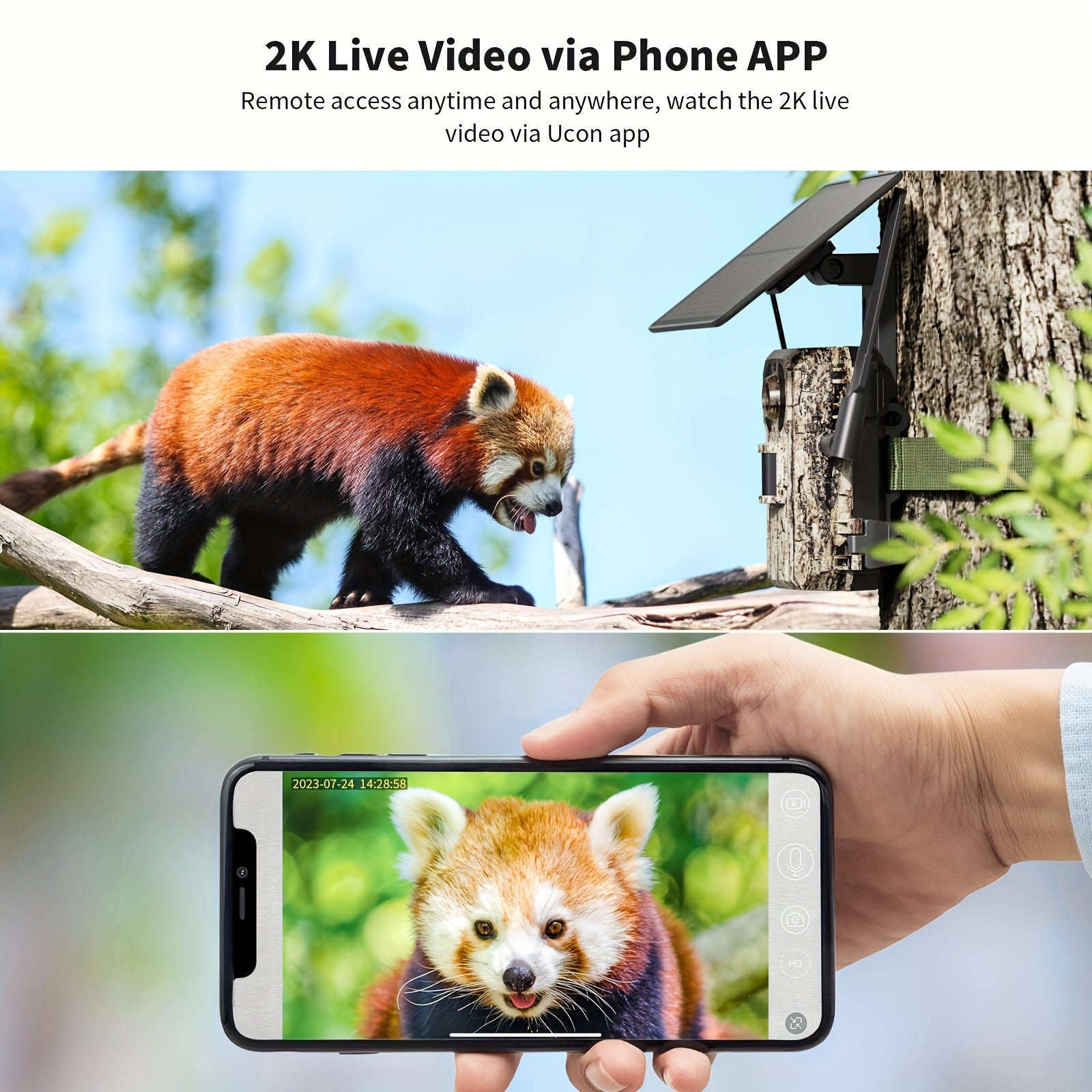 3pcs 4G LTE Cellular Trail Camera/2pcs 4G Camera/1pcs 4G Camera, With 2.7K Real-time View, Night Vision, Built-in SIM Card, Remote Phone Access, 0.2S Sports Activation, With Solar Panel, Suitable For Remote Areas Such As Moun