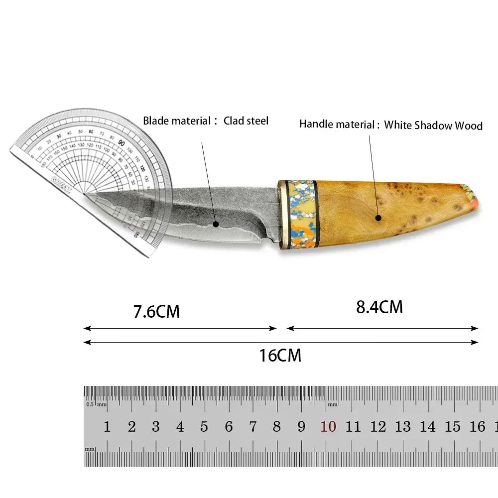 Portable Mini fixed blade knives tactical Straight Knife Composite Steel Laser Laser Blade White Shadow Wood Handle Fruit Knife