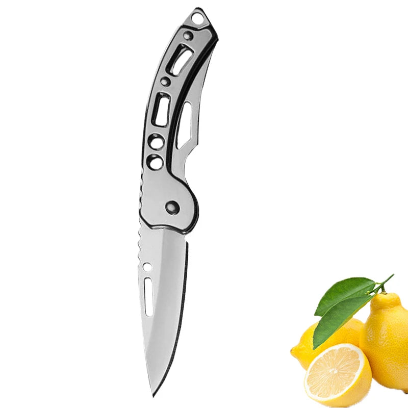Folding Fruit Knife Stainless Steel Pocket Knife with Keychain Fruit Slicing Knives with Non-slip Handle Household Small Knife