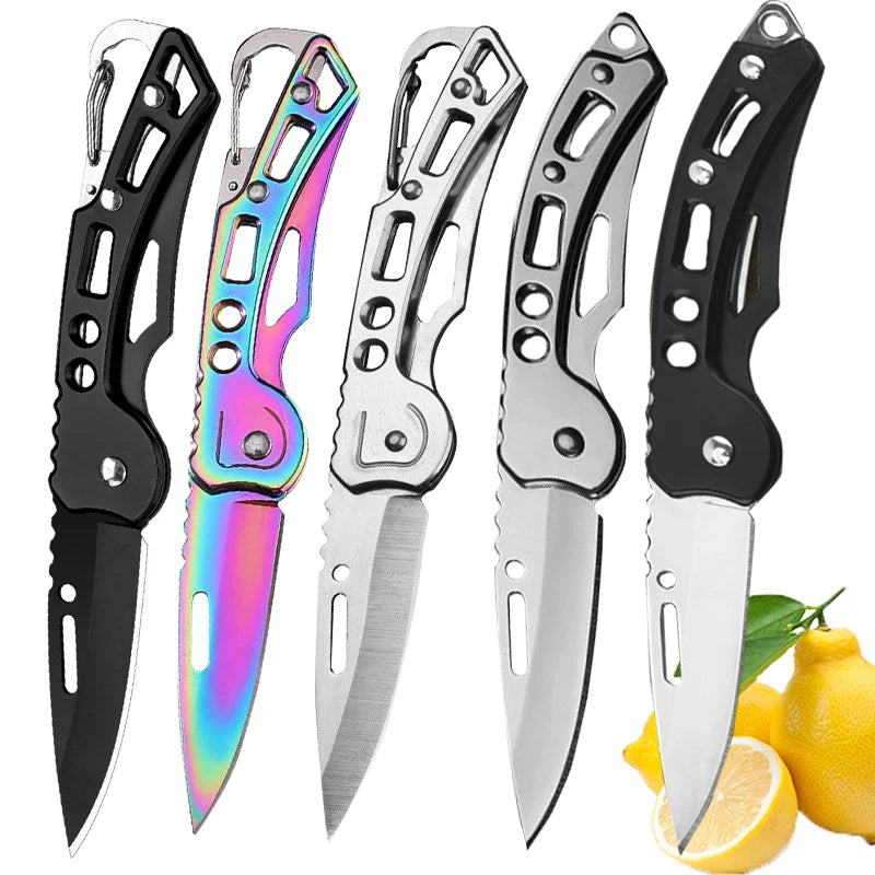 Folding Fruit Knife Stainless Steel Pocket Knife with Keychain Fruit Slicing Knives with Non-slip Handle Household Small Knife