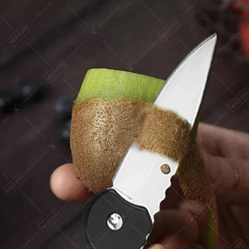 Folding Fruit Knife Stainless Steel Pocket Knife with Keychain Fruit Slicing Knives with Non-slip Handle Household Small Knife