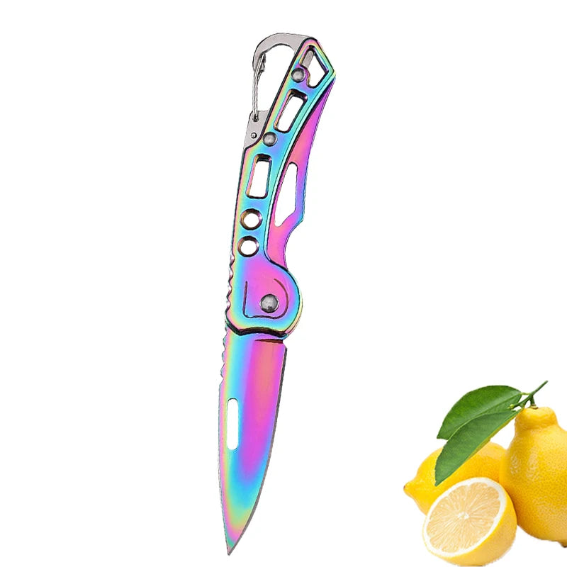 Folding Fruit Knife Stainless Steel Pocket Knife with Keychain Fruit Slicing Knives with Non-slip Handle Household Small Knife