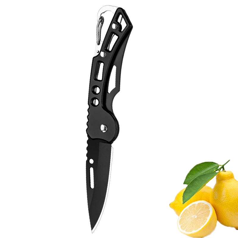Folding Fruit Knife Stainless Steel Pocket Knife with Keychain Fruit Slicing Knives with Non-slip Handle Household Small Knife