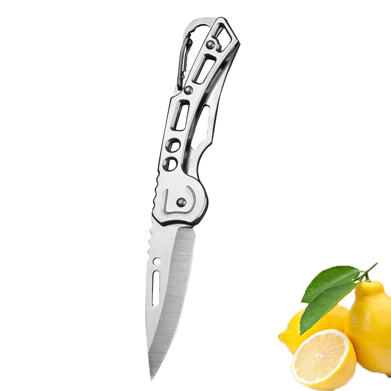 Folding Fruit Knife Stainless Steel Pocket Knife with Keychain Fruit Slicing Knives with Non-slip Handle Household Small Knife