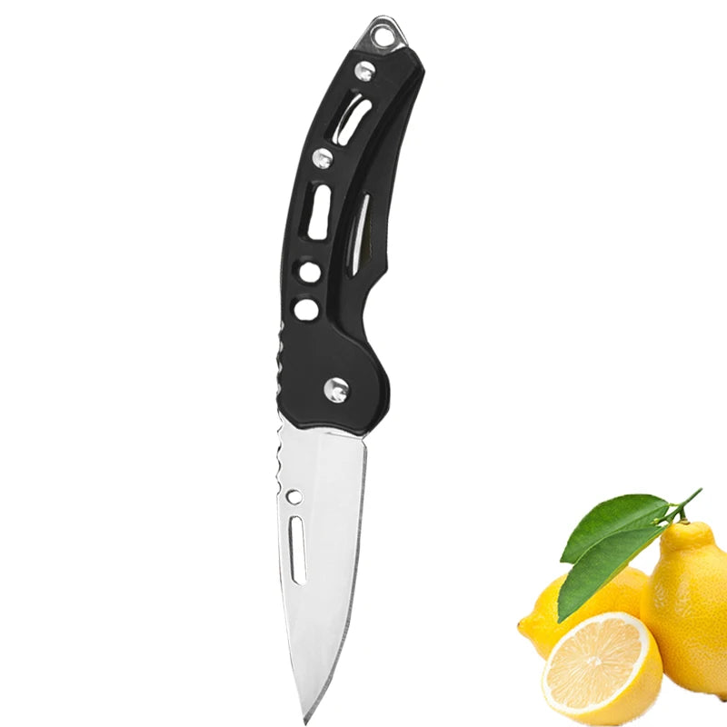 Folding Fruit Knife Stainless Steel Pocket Knife with Keychain Fruit Slicing Knives with Non-slip Handle Household Small Knife