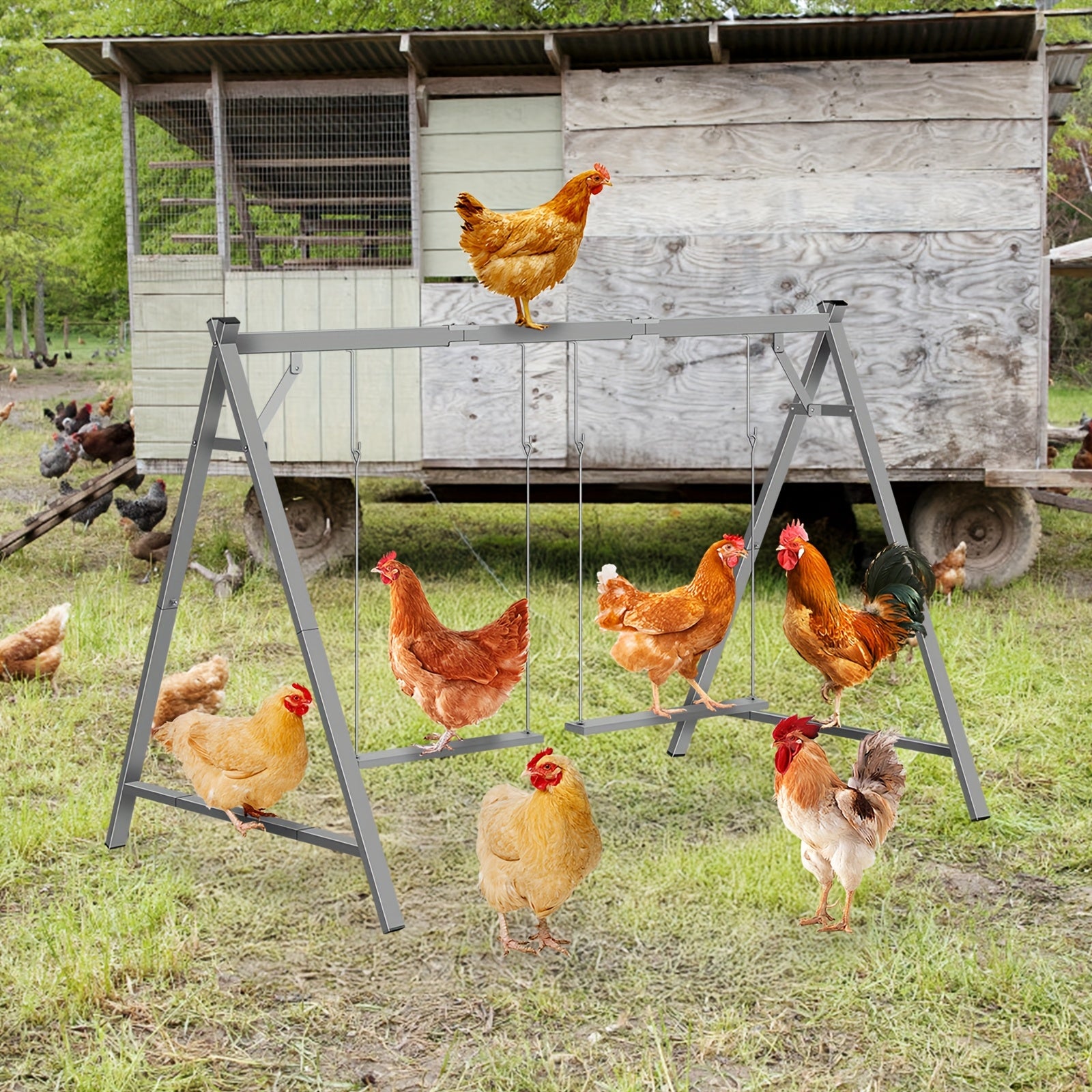 Heavy-Duty Chicken Perch with 2 Swings & Roosting Bars - Sturdy Construction, Chicken Coop Climbing Gym, Exercise & Mental Stimulation Activity Center for hens, chicks - Indoor/Outdoor Farm or backyard use - Pet Chicken Acces